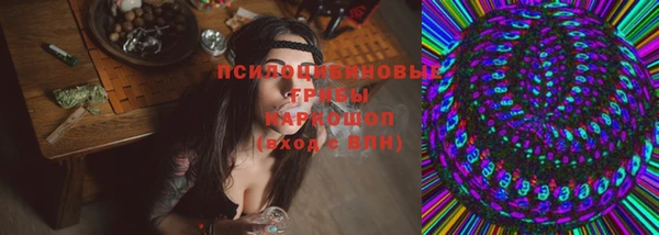 apvp Ессентукская