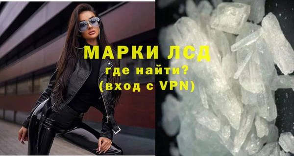 стафф Алзамай