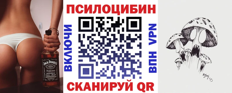 кракен ONION  где купить наркоту  Шимановск  Галлюциногенные грибы мицелий 